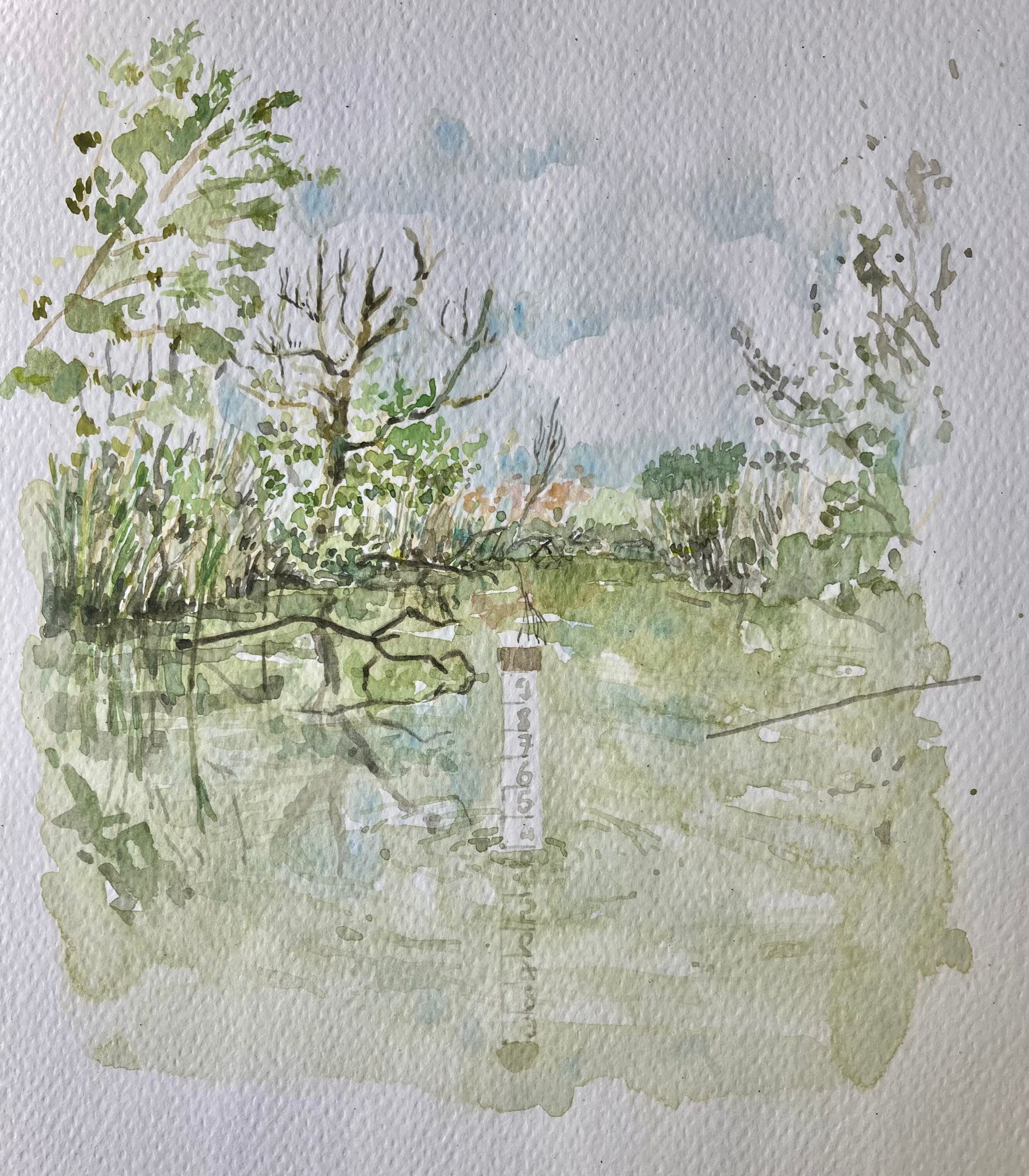 1e0c038b-9807-4fa2-aed5-190c889e6be8