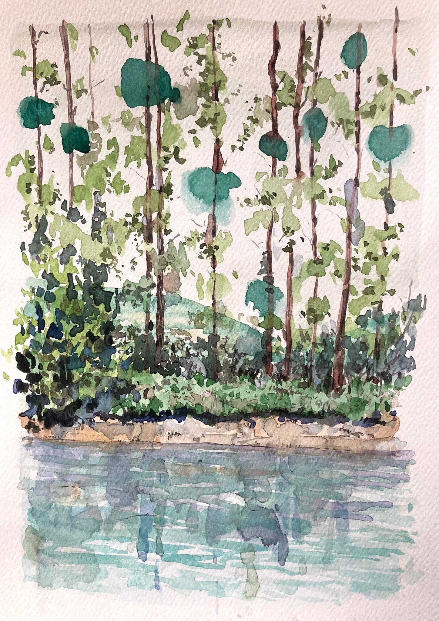 58cf804d-ff03-48ff-95a6-4f048ab32fdc